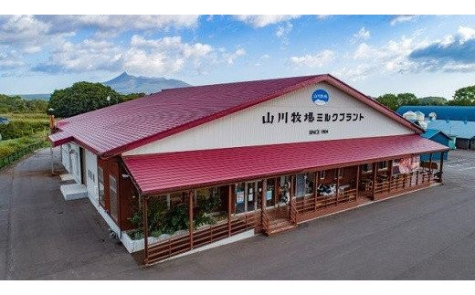 山川牧場育ちのジャー黒カレー&ハンバーグAセット（計7個） お手軽おかず NAN001