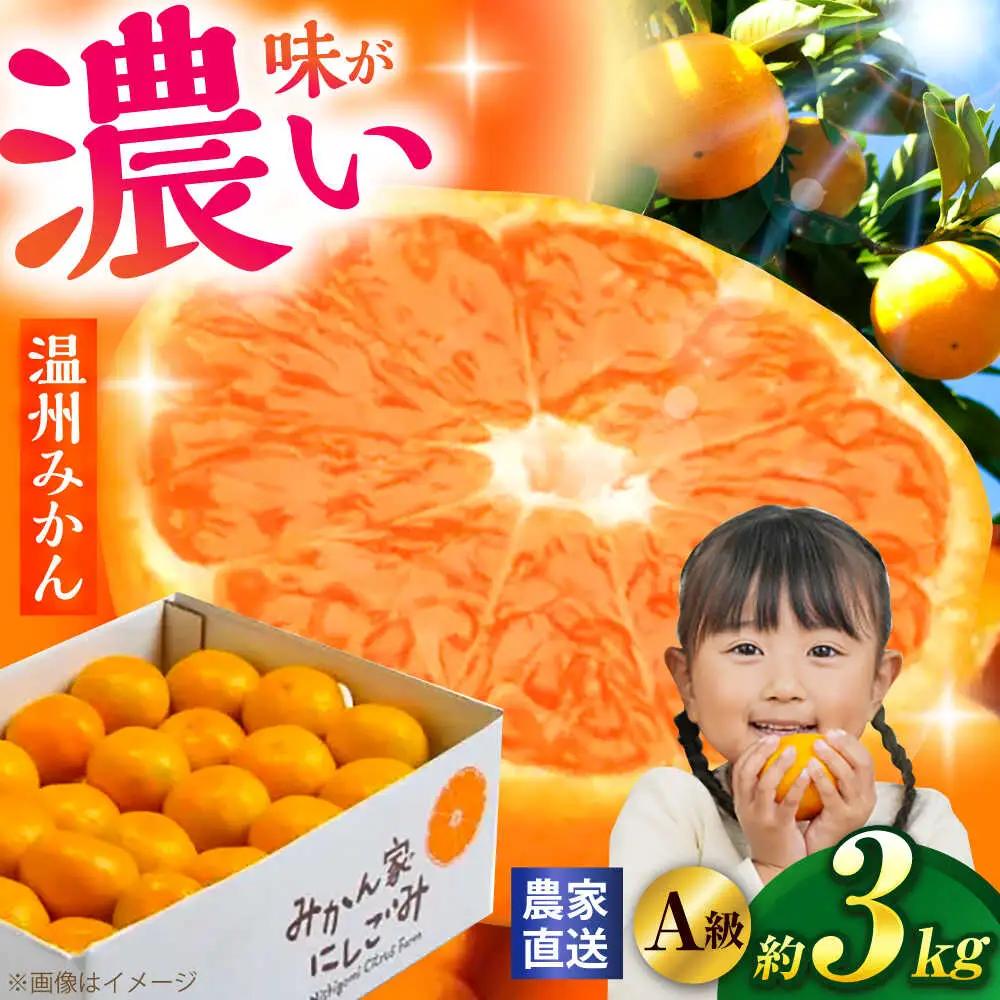 【先行予約】＜サイズおまかせ＞高知県産温州みかんA級品 約3kg ＜2026年11月上旬～2026年12月下旬頃発送＞/ みかん 柑橘 オレンジ 高知県 温州 【株式会社にしごみ】[ATEA010]