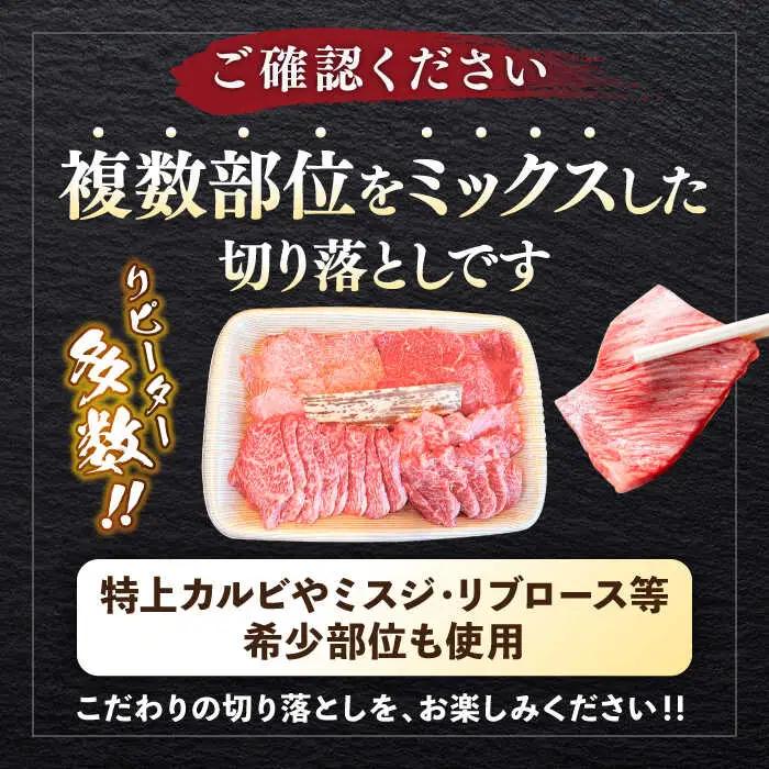 葉山牛 1kg　焼肉用ミックス  ／ 焼肉   [ASBD013]