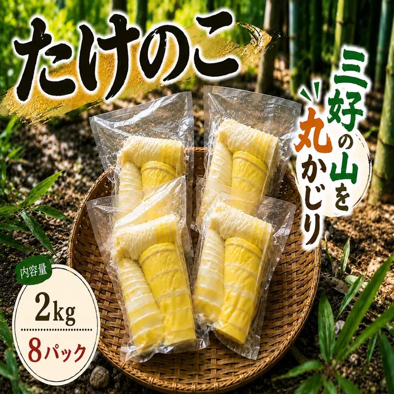たけのこ 約 2kg 水煮 250g ~ 300g × 8パック 【 たけのこ 】
