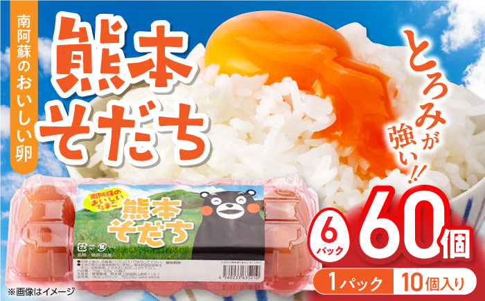 熊本県産 熊本そだち 60個入り ( 10個入り × 6パック ) 山都町 たまご 卵【蘇陽農場】 [YBE033]