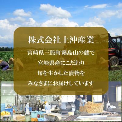 ふるさと納税 三股町 純国産ぴり辛らっきょうセット(130g×10袋・計1.3kg)【MI013】 |  | 03