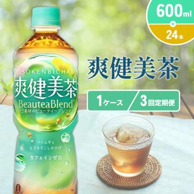 ふるさと納税 えびの市 【毎月定期便】爽健美茶 PET 600ml×24本(1ケース)(えびの市)全3回