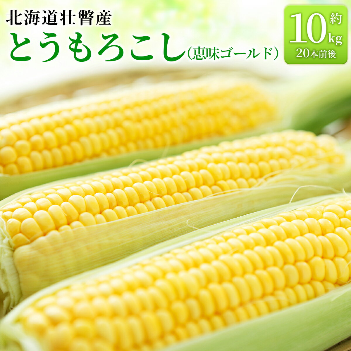 【ふるさと納税】＜2026年8月上旬より順次お届け＞北海道壮瞥産 とうもろこし（恵味ゴールド）約10kg 【 ふるさと納税 人気 おすすめ ランキング 北海道 壮瞥 先行予約 とうもろこし 贈り物 贈物 贈答 ギフト 大容量 詰合せ セット 北海道 壮瞥町 送料無料 】SBTA032