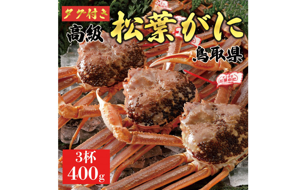 【2025年12月～2026年1月発送】特撰 松葉がに（なま）【ブランドタグ付き】400g超のサイズ 3杯
