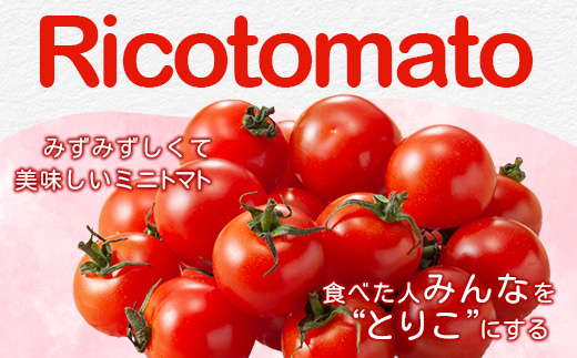 【先行予約】 【2026年1月から出荷】 完熟ミニトマト『Ricotomato』 【1kg×3回定期便】 E-68