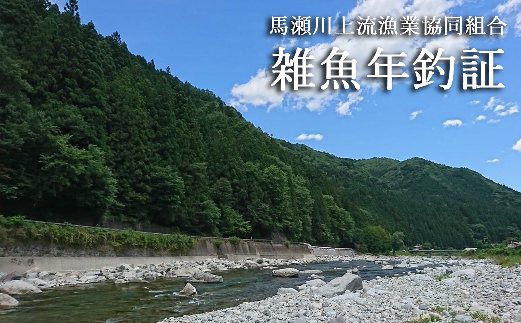 
            【令和7年】馬瀬川上流雑魚年釣証  （2月22日(土)解禁）渓流釣り 清流 馬瀬川 釣り券 釣り つり 魚 2025年
          