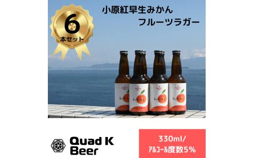 クラフトビール 奇跡の紅みかん kokou 6本セット 330ml×6本  冷蔵配送 クラフトビール 地ビール  ビール みかん 柑橘 小原紅早生 ホップ アルコール 酒 ドリンク