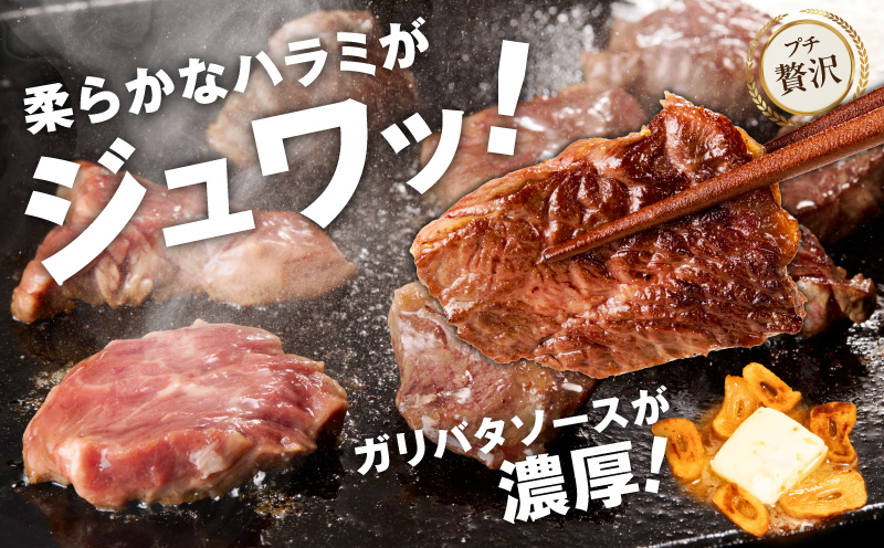 【ひと口カット】牛ハラミステーキ 800g【200g×4P ガーリックバター味 お試し 小分け カット済み 牛肉 訳あり サイズ不揃い 焼くだけ 大阪 泉佐野 大阪府 泉佐野市】