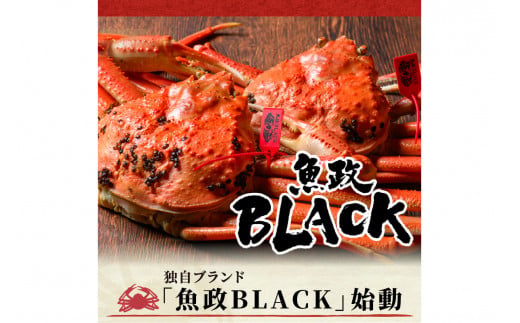 訳あり　【蟹の匠 魚政】茹で　プレミアムズワイガニ 魚政BLACK（松葉ガニ・越前ガニ） 小サイズ（600～700g） 1匹 (1月～3月発送） 松葉蟹 蟹 かに カニ ガニ がに ボイル まるごと 