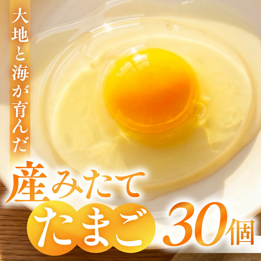 【ふるさと納税】産みたてたまご 30個 ( 割れ保証込み 25個 ＋ 5個 ) 卵 たまご ナガイタマゴ 鶏卵 卵かけごはん 海藻 エサ 赤玉 パック 赤鶏 卵かけご飯 玉子焼き 玉子 国産 新鮮 小分け パック ギフト