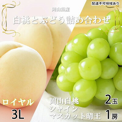 【ふるさと納税】桃 ぶどう 2025年 先行予約 岡山 白桃 ロイヤル 2玉×約300g（3Lサイズ、早生種・中生種）シャイン マスカット 晴王 1房約600g 詰め合わせ 岡山県産 フルーツ 　お届け：2025年7月上旬～2025年8月中旬