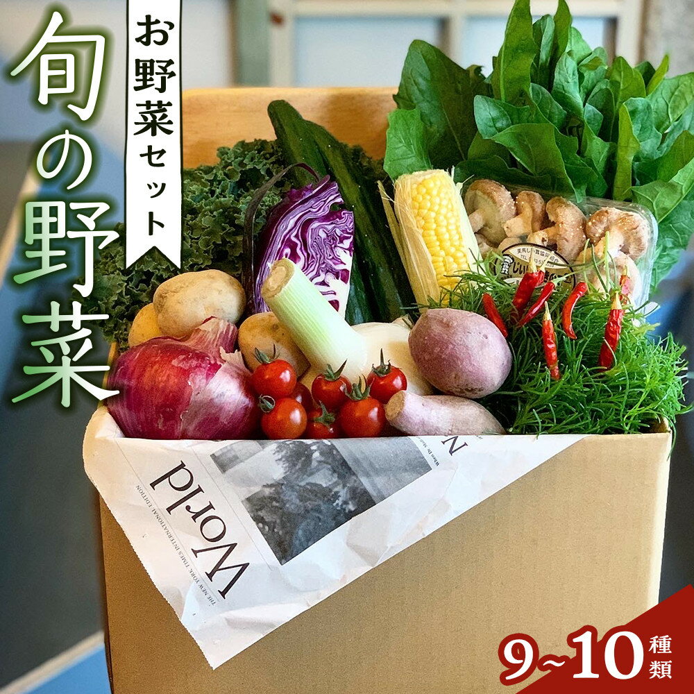 【ふるさと納税】野菜セット 旬の野菜 （9~10種類) | 季節 野菜 ボックス BOX セット セレクト 農家 おまかせ 多品目 旬 詰め合わせ 根菜 葉物 果物 旬の野菜 新米