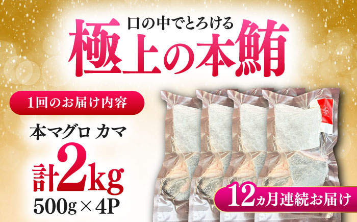 【全12回定期便】対馬産 本マグロ カマ 2kg ≪対馬市≫【桐谷商店】 トロの華 対馬 新鮮 マグロ かま 鮪 [WAQ106]