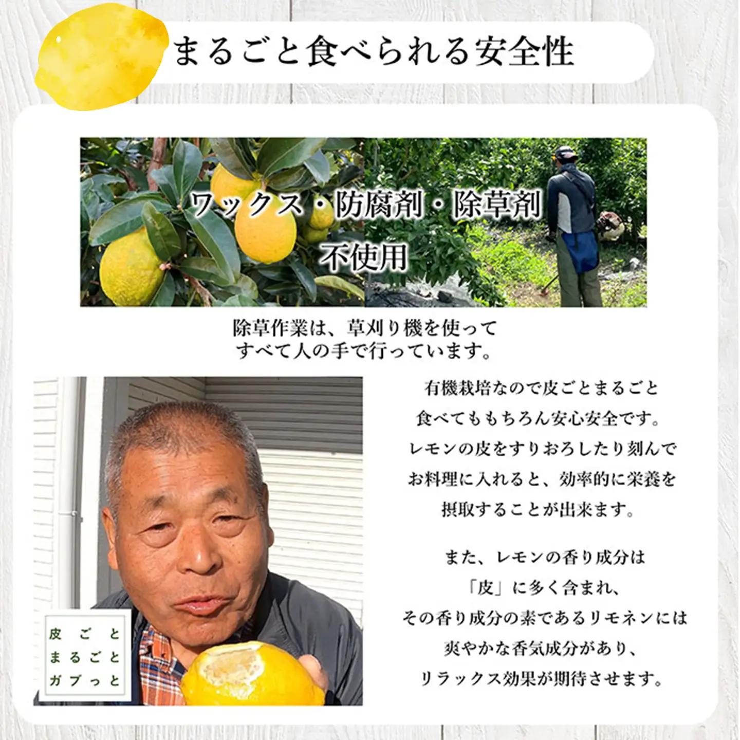 有機レモン 璃の香 2㎏【11月下旬～1月発送】れもん オーガニック 国産 愛媛県 西条市