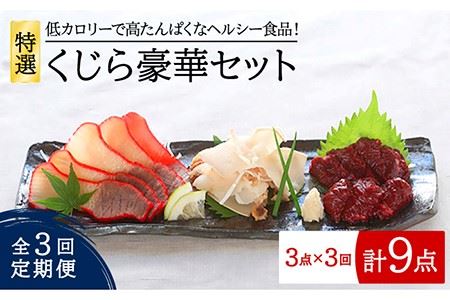 【3回定期便】特選 くじら 豪華 3点 五島市/丸宗水産[PAJ004]