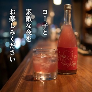 SB0834　酒田の酒屋厳選　楯の川 BARヨー子 スモモモ　720ml×2本