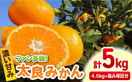 完熟 太良みかん 計5kg（4.5kg＋500g傷み保証分） / 佐賀県 / 山本農園 [41ATBT003]
