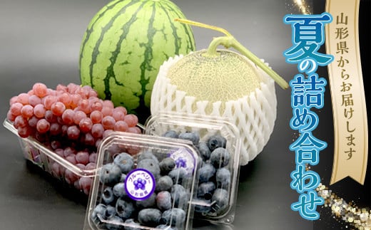 【令和8年発送】期間限定 夏の詰め合わせ アンデスメロン・小玉すいか・デラウエア・ブルーベリー FSY-2383