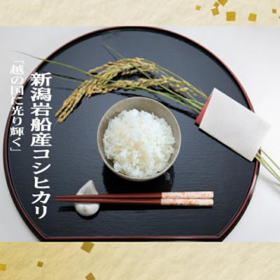 ふるさと納税 村上市 【令和6年産米】にいがた岩船産コシヒカリとこしいぶきの食べ比べセット(神林産地)10kg |  | 02