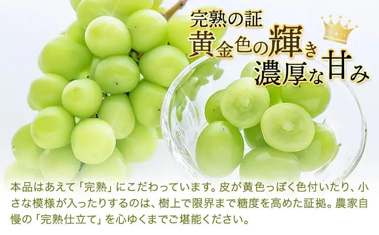 完熟 シャインマスカット 約1kg ｼｬｲﾝﾏｽｶｯﾄ