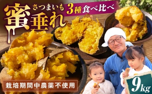 【厳選】3種食べ比べ 熟成 さつまいも 9kg 紅はるか 安納芋 さつまいも サツマイモ さつま芋 さつまいも 芋 いも 焼き芋 やきいも 滋賀 スイーツ 滋賀県長浜市/好作豊吉 [AQCF019]