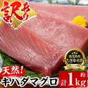 【ふるさと納税】《訳あり・数量限定》天然キハダマグロ(約1kg) 柵でお届け！肉厚のお刺身や海鮮丼に！まぐろ 鮪 魚 魚介 魚介類 刺し身 刺身 さしみ 切り身 海鮮丼 訳アリ わけあり 冷凍【海鮮まぐろ家】