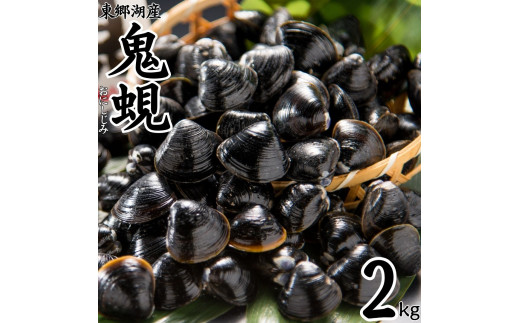 58M.東郷湖産鬼蜆〔おにしじみ〕2kg