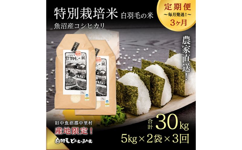 【通年受付】≪令和7年産 ≫【定期便／全3回】農家直送！魚沼産コシヒカリ特別栽培「白羽毛の米」精米10kg(5kg×2袋)×3回 計30kg お米 