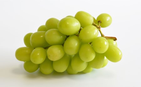 【2024年8月〜発送】【南島原産】シャインマスカット ２kg（３〜５房）/ 南島原市 / ながいけ[SCH036]