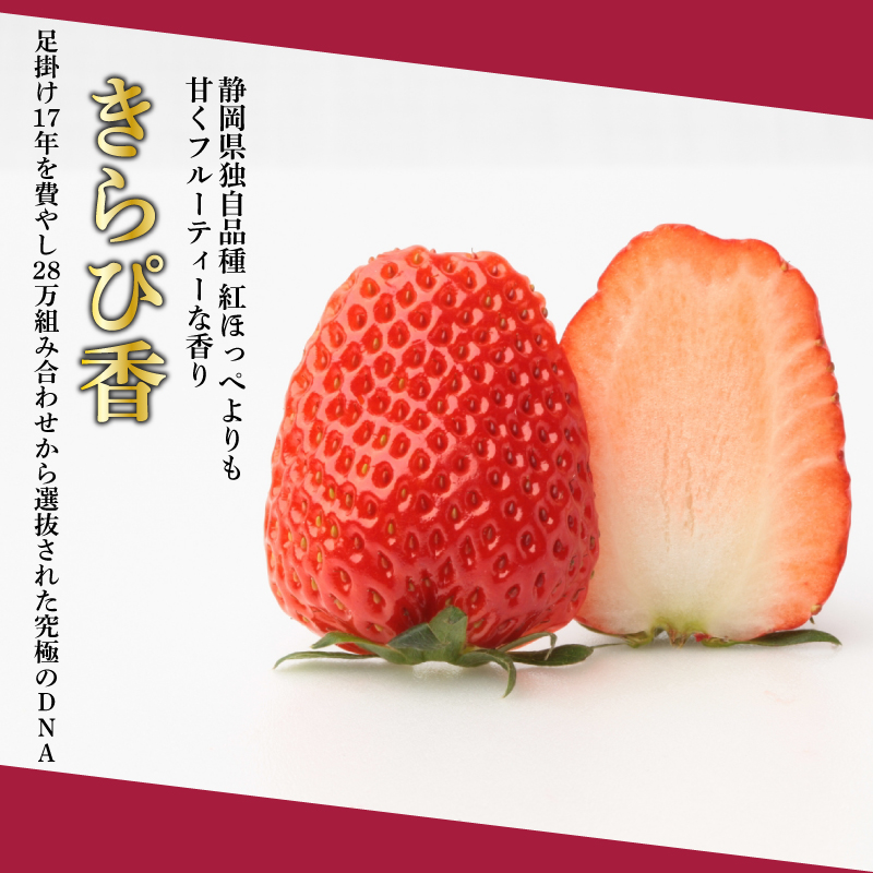 【先行予約 : 2025年1月～2025年2月発送予定 】 いちご きらぴ香 約1kg 約250g×4パック 朝どれ 完熟 苺 産地 直送 フレッシュ イチゴ 贈答 フルーツ 果物 国産 静岡県 藤枝
