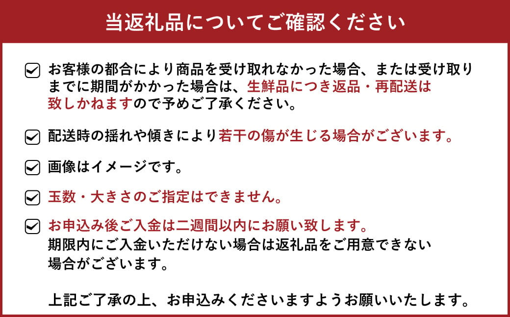 【訳あり】海沿い育ちの 爽やか 河内晩柑 約10kg（20～35玉）