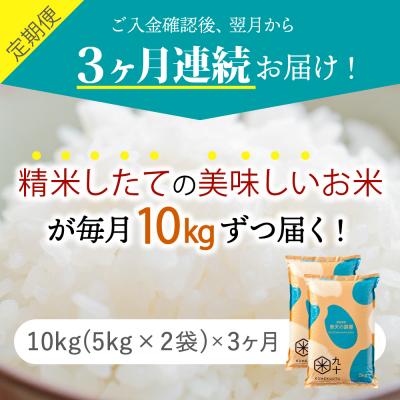 ふるさと納税 五所川原市 【定期便 3ヶ月】 令和7年産米 米 青天の霹靂 10kg 青森県産 10kg×3回 定期便3回 |  | 01