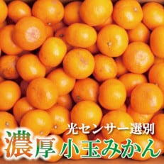 ＜2024年11月より発送＞家庭用 小玉な有田みかん3kg+90g(傷み補償分)【訳あり】