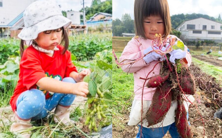ベジ彩ファーム　割引チケット 3,000円分 体験 国内 野菜収穫 ピザづくり 親子体験 大阪府高槻市/ベジ彩ファーム[AOEJ001]