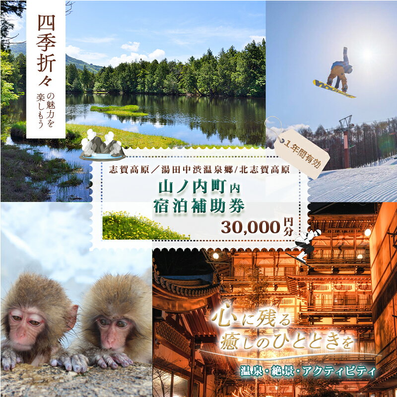 【ふるさと納税】山ノ内町内宿泊補助券（6枚）1年間有効 30,000円分 旅行 宿泊券 ホテル 旅館 チケット 宿泊 補助券 志賀高原 湯田中渋温泉郷 北志賀高原 地獄谷野猿公苑 温泉 ギフト 自然 観光 長野県 信州 冬 スキー　お届け：ご入金確認後、5日程度で発送