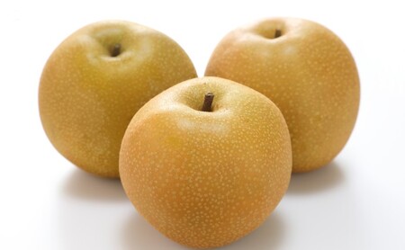 梨 2025年 先行予約 あたご梨 約3kg 3～5玉入り  なし ナシ  岡山県産 国産 フルーツ 果物 ギフト 和梨 デザート 食後 日本一の大きさ 大玉 シャリシャリ