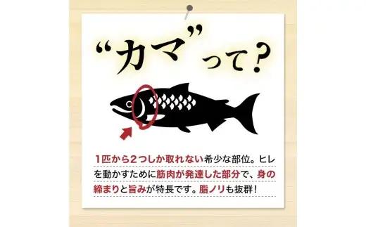 【 訳あり 】 北洋天然紅鮭カマ 500g × 2袋 1.0kg 天然紅鮭 天然 紅鮭 鮭 さけ サケ 魚類 魚 魚介 魚介類 海鮮 冷凍 北洋天然紅鮭 カマ 酒肴 晩酌 おかず つまみ 希少 希少部