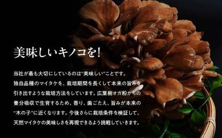 【6ヶ月定期便】長五郎 まいたけ ほぐし 300g×2 計3.6kg | まいたけ まいたけ まいたけ まいたけ まいたけ
