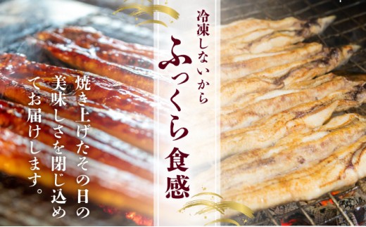 ＜定期便2回＞ うなぎ 蒲焼き 白焼き 食べ比べセット 計800g (200g×各1尾×2回)  冷蔵 [21ys-0006]