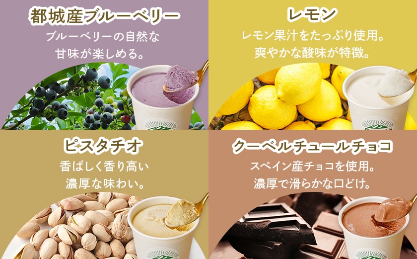 【母の日】ジェラート専門店「ボンチーノ」7種12個セット≪5月7日～10日お届け≫_MJ-1565-MG