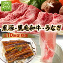 【ふるさと納税】定期便 10回 鹿児島 黒毛和牛 黒豚 うなぎ 豚肉 牛肉 肉 生ハム 切落し 和牛 すき焼き ロースステーキ ハンバーグ ソーセージ しゃぶしゃぶ 生姜焼き 合挽メンチ カルビ 味噌ホルモン ホルモン プルコギ お取り寄せ グルメ 鹿児島県 南九州市 送料無料