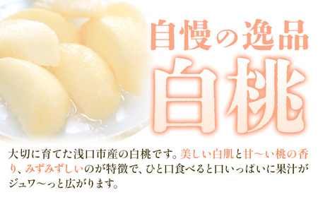 【2026年発送】浅口市産 白桃 約2kg(7～9玉) SUEHIRO農園《2026年6月下旬-8月下旬頃出荷》