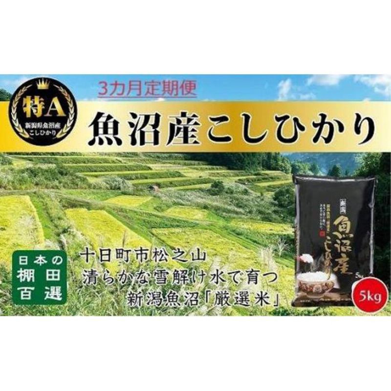 【ふるさと納税】【令和7年産新米予約】【食味鑑定士厳選】3カ月 定期便 日本棚田百選のお米 天空の里 魚沼産 こしひかり 5kg×3回 米 お米 コメ　お届け：令和7年10月下旬（10月21日～）