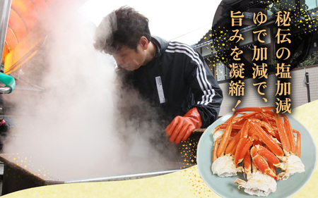 【期間限定】≪浜茹で≫越前産水がに小サイズ 6肩（足のみ2肩あたり200～300g） 合計600g以上 産地直送 お手頃【雄 ズワイガニ 越前ガニ 足のみ ボイル 冷蔵 かに カニ 蟹 福井県】希望日