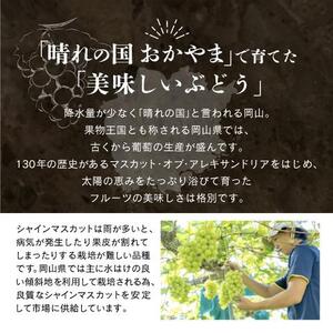 岡山県産 シャインマスカット 1.5kg以上（2～3房）＜2025年9月上旬～10月下旬発送＞