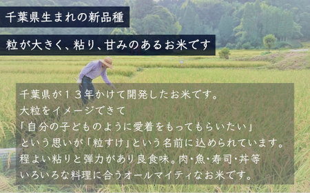 令和5年産 千葉県産「粒すけ」10kg（5kg×2袋）/  どっちのふるさと TV フジテレビ 粒すけ 令和5年産粒すけ 千葉県産粒すけ A006