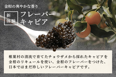 【世界三大珍味×日本三大秘境】HEIKE CAVIAR 3種食べ比べセット20g×3【産地直送】【簡易包装】