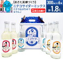 【ふるさと納税】＜お中元 ギフト＞ニテコサイダーミックス 300ml×6本セット 3種（ニテコサイダー2本、りんごサイダー2本、はちみつサイダー2本）あきた美郷づくり