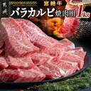 【ふるさと納税】宮崎牛バラカルビ1kg - みやざきブランド 宮崎牛 牛バラカルビ焼肉用カット肉(500g×2パック) 計1キロ カルビ肉 焼き肉 バーベキュー 鉄板焼 焼肉 肉のながやま 送料無料 AD-2501【宮崎県都城市は2年連続ふるさと納税日本一！】